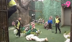 STRAVIČAN PAD UČESNIKA ELITE, NEPOMIČNO LEŽI NA ZEMLJI Pao sa velike visine, obezbeđenje oko njega (VIDEO)