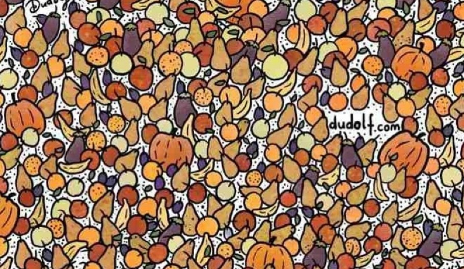 JESENJA ZAGONETKA ZALUDELA INTERNET Samo pravi genijalci vide SKRIVENE ptice među jesenjim lišćem - imate li i vi oko sokolovo?