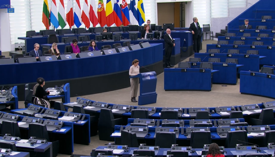 SRPSKI MOST RAZOTKRIO: Rezolucija Evropskog parlamenta pala na prvoj proveri!