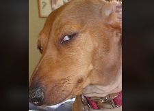 KAKO SE ZOVE ŽENA IZ BUDVE? Poznati tiktoker napravio pometnju među prolaznicima, odgovori će vas iznenaditi (VIDEO)