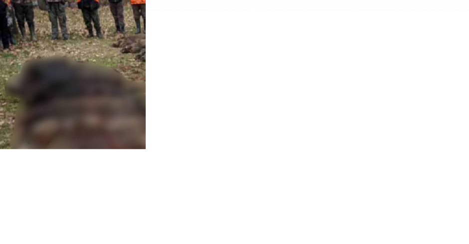 PRONAĐENO 8 TELA, SUMNJA SE NA GROZNICU! Užas u Kataloniji