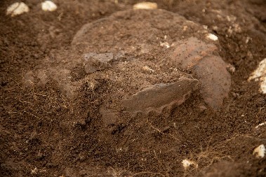 NESVAKIDAŠNJE OTKRIĆE KOD NOVE VAROŠI Pogledajte kakvu su posudu pronašli (FOTO)