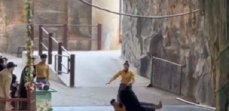 HOROR U ZOO VRTU Pobesneli divlji monstrum ŠČEPAO ČUVARA za ra ruku i oborio ga na zemlju - publika mislila da je sve deo predstave! (VIDEO)