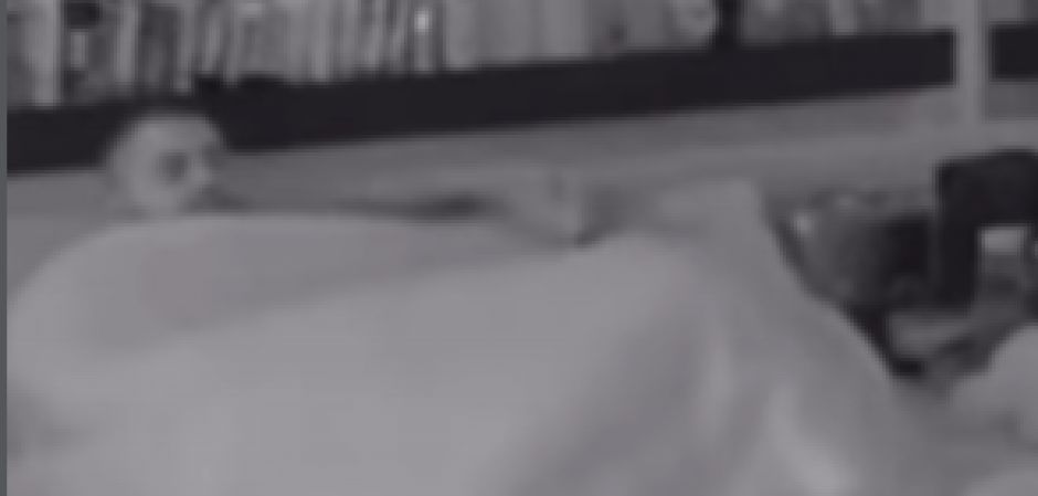 ASMIN SINOĆ IŠAO OD JEDNE DO DRUGE Nakon Sandre i Aneli oralno ga zadovoljila i Miljana Kulić! (VIDEO)