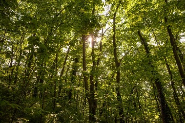 PUT KA ODRŽIVOJ BUDUĆNOSTI Srbija bez deponija: kako evropski lideri koriste otpad kao resurs