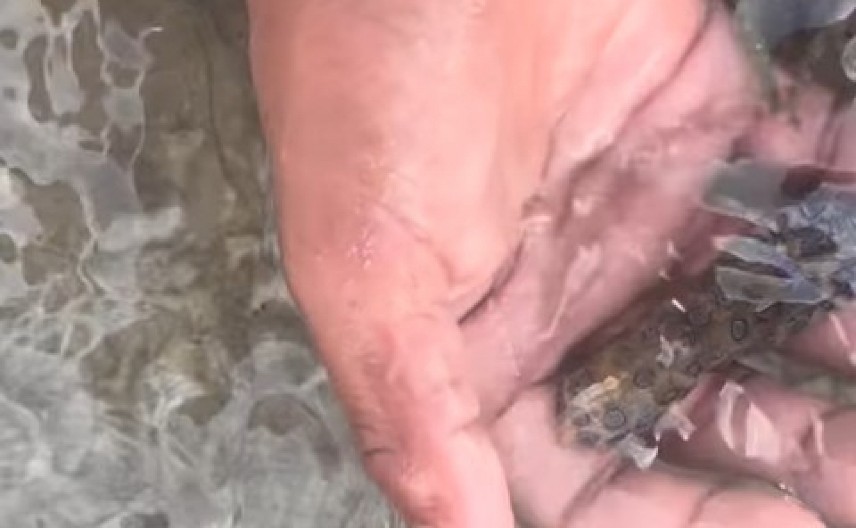 STRAVA I UŽAS NA PUTOVANJU Mislio je da uzima slatko stvorenje u ruke, kad je shvatio da je bio NA KORAK OD SMRTI - umalo se onesvestio od šoka! (VIDEO)