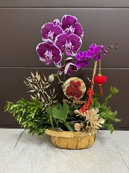 PRED NOVU GODINU OBAVEZNO NABAVITE OVE BILJKE Ulepšavaju prostor, a i privlače sreću i bogatstvo