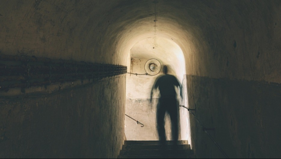 STRAVA I UŽAS Zver mu se uselila u podrum, ali kad su shvatili da su uhvatili pogrešnu, ZANEMELI! 