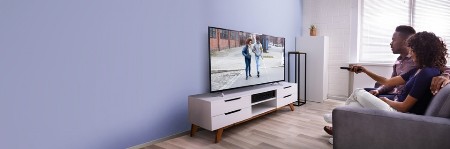 PROGRAMSKA ŠEMA za 1. januar