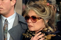 "KLERONACISTKINJA KOJA JE ODBACILA SVOJE DETE" Bridžit Bardo nakon smrti na udaru! 