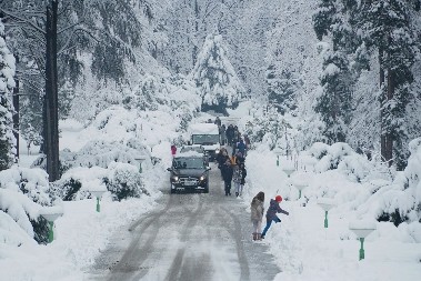 12 SATI ZAROBLJENI NA GRANICI Beograđanin krenuo za Francusku, posle ovoga preseo mu je ceo put