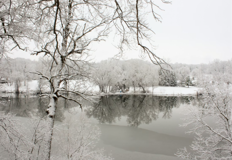 Danilovgrad: Poplavljeno 30 kuća, nastavljena evakuacija