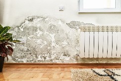 Vlada iz Paraćina muku muči s vlagom u stanu, a svi mu govore isto: "To ti je jedino rešenje"