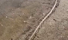 NOVI ZEMLJOTRES KOD SANTORINIJA JAČINE 4,5 RIHTERA! Širi se jeziv snimak iz susedne države: More se povuklo! (VIDEO)