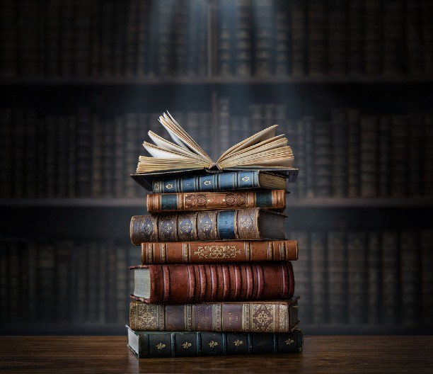 KAKO SU ROMANSKI JEZICI OBLIKOVALI SRPSKI JEZIK Pozajmljenice koje su obogatile naš rečnik