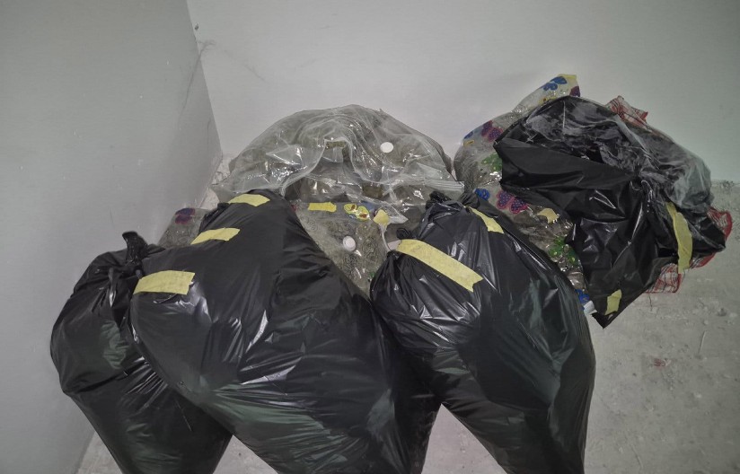 VELIKA ZAPLENA NARKOTIKA U VOJVODINI Policija uhapsila tri osobe i pronašla preko 100 kolograma razne droge